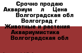  Срочно продаю Аквариум 380л. › Цена ­ 4 000 - Волгоградская обл., Волгоград г. Животные и растения » Аквариумистика   . Волгоградская обл.